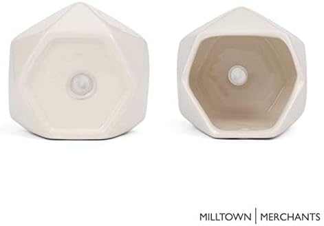 Milltown Merchants Succulent Wall Planters - Wall Vases - Black Ceramic Wall Mounted Planters - Succulent Plant Pots - Hanging Vases for Living Wall (2 Pack/Geometric/White)