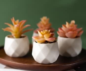 VIVERIE Mini Orange Artificial Succulent in Pots (White Ceramic, 4 Pot Set) Fake Plants for Indoors, Office Home Halloween/Christmas Decor Gifts-Faux Plant Gifts for Women