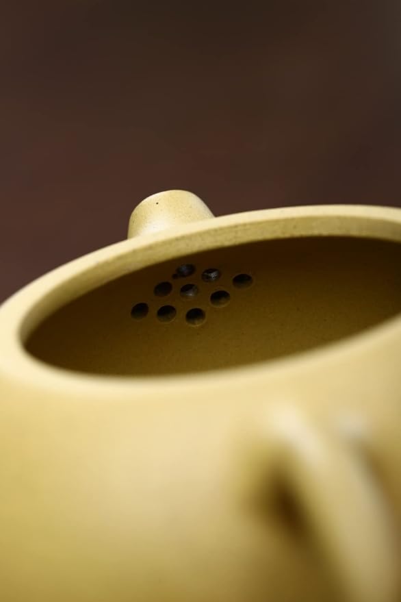 Xishi Teapot 15oz Chinese Zisha Clay Pot Ceramics Purple Sand Mud Kungfu Tea Set Kettle 9 Hole Filter (Yellow 450ml)