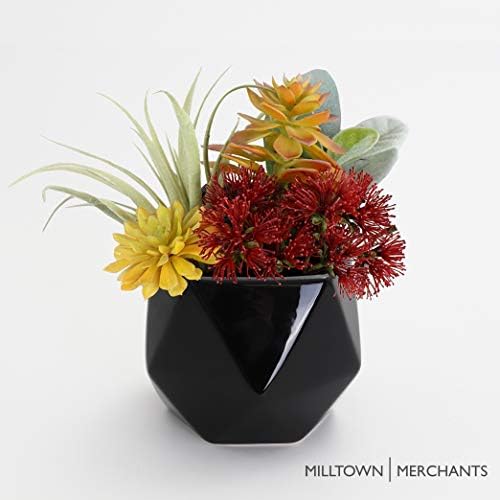 Milltown Merchants Succulent Wall Planters - Wall Vases - White Ceramic Wall Mounted Planters - Succulent Plant Pots - Hanging Vases for Living Wall (2 Pack/Geometric/Black)