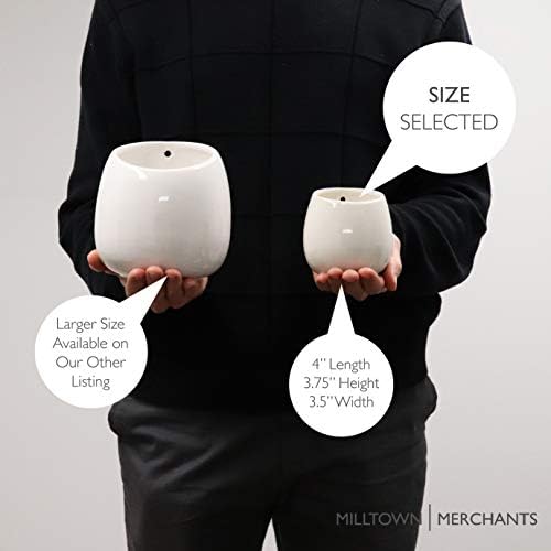 Milltown Merchants Succulent Wall Planters - Wall Vases - Black Ceramic Wall Mounted Planters - Succulent Plant Pots - Hanging Vases for Living Wall (2 Pack/Modern/White)