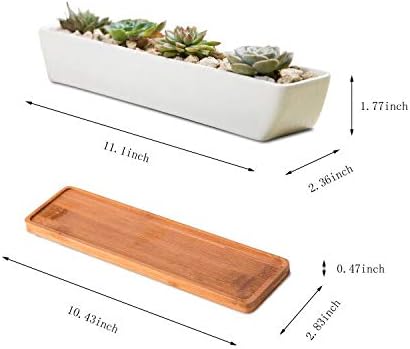 11inch Long Rectangle White Ceramic Succulent Planter Pots/Mini Flower Plant Containers with Bamboo Saucers. Product Size:11x2.23x1.69inch,not Include The Plant. (Long Rectangle)