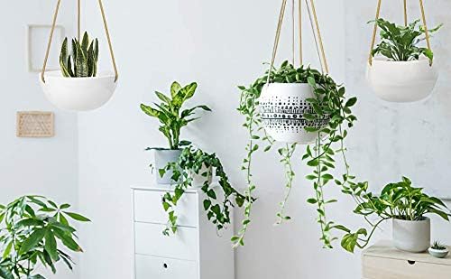KiaoTime Ceramic Hanging Planter for Indoor Outdoor, Decorative Boho Flower Green Grass Plant Succulent Air Plants Hanging Plant Pots Holder