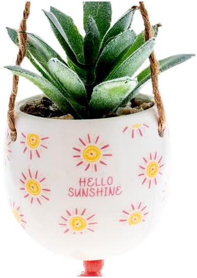 Karma Hanging Succulent Pot Hello Sunshine