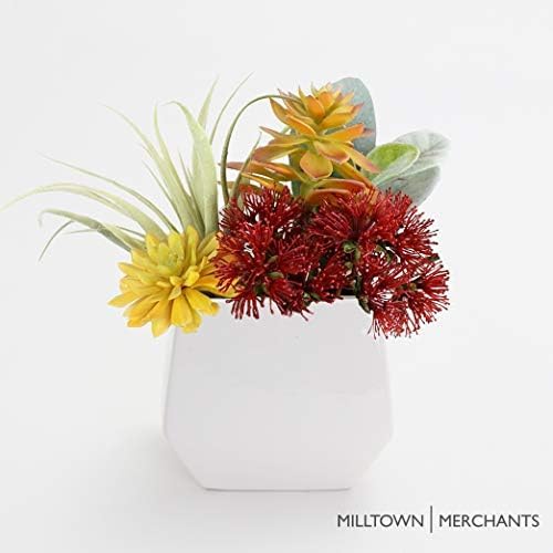 Milltown Merchants Succulent Wall Planters - Wall Vases - White Ceramic Wall Mounted Planters - Succulent Plant Pots - Hanging Vases for Living Wall (2 Pack/Contemporary/White)