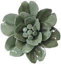 Snow Lotus，3.54" Ceramic Flower Wall Art, Artificial 3D Flower Wall Art, Handmade 3D Wall Art Hanging Sculpture, Porcelain Flower Wall Decoration for Home Office Decor (Dark Green)