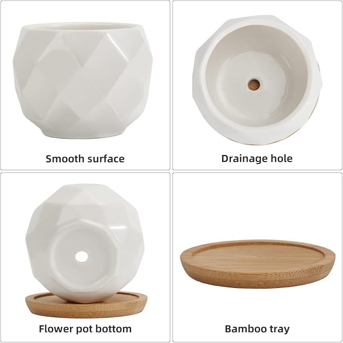 ZOUTOG Succulent Plant Pot 12 Pack, 2.5 inch Square Pattern Ceramic Planters with Bamboo Tray, Small Succulent Pots Indoor, White Office Desk Decor (Seeds＆ Plants Not Included)
