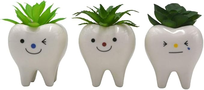 Pack of 3 Mini Shaped Tooth Planter Ceramic Succulent Plant Pots Set for Small Succulent Tooth Gifts for Adults Kids Women Dentist