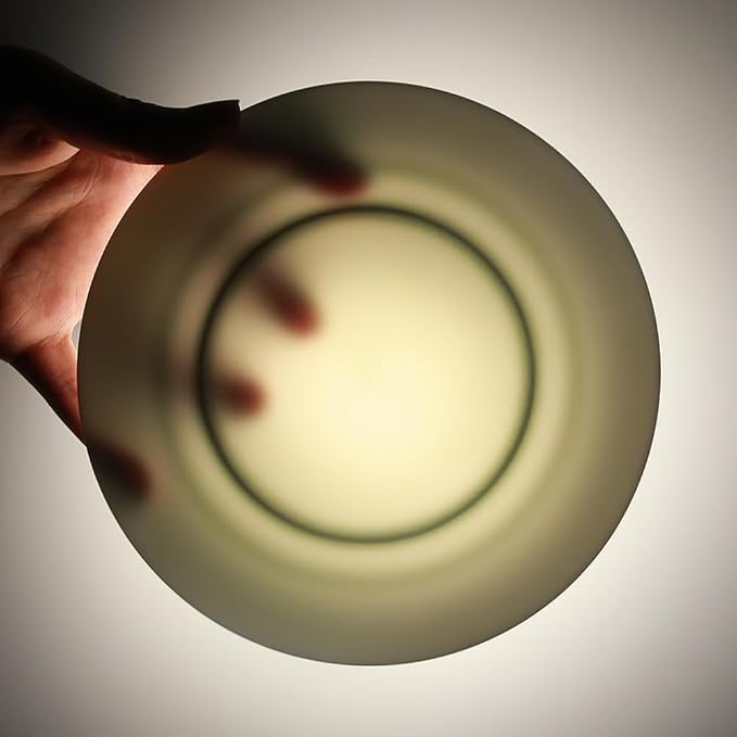 IQCWOOD 6.5 Inch Porcelain Plate Set of 6, White Dessert Plates Ceramic Salad Appetizer Plates for Christmas party, Ceramic Plates for Dinner