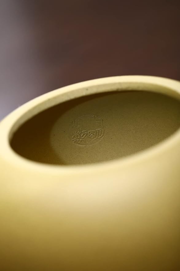Xishi Teapot 15oz Chinese Zisha Clay Pot Ceramics Purple Sand Mud Kungfu Tea Set Kettle 9 Hole Filter (Yellow 450ml)