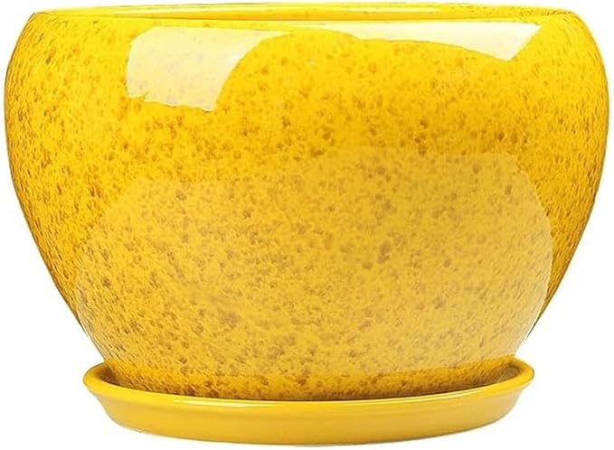 Simple Flower Pot Chinese Style Yellow Flower Glaze Ceramic Pot Indoor Large Succulent Plant Pot with Tray Outdoor Balcony Breathable Planter Exquisite Orchid Plant Pot (Size : M)