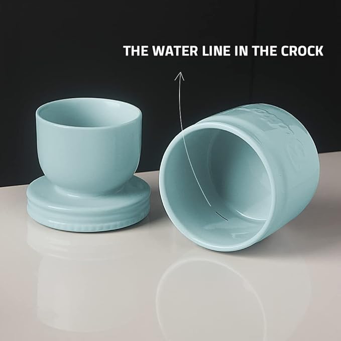 Sweejar Porcelain Butter Keeper Crock, French Butter Dish with Water Line, Ceramic Butter Container for soft butter (Turquoise)