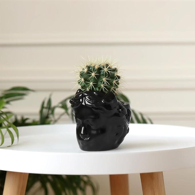 Small Head Planter - Ceramic Face Planter Pots for Indoor Plants, Cute Funny Succulent Pot with Drainage Hole, Unique Gift, 3.9"