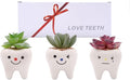Pack of 3 Mini Shaped Tooth Planter Ceramic Succulent Plant Pots Set for Small Succulent Tooth Gifts for Adults Kids Women Dentist