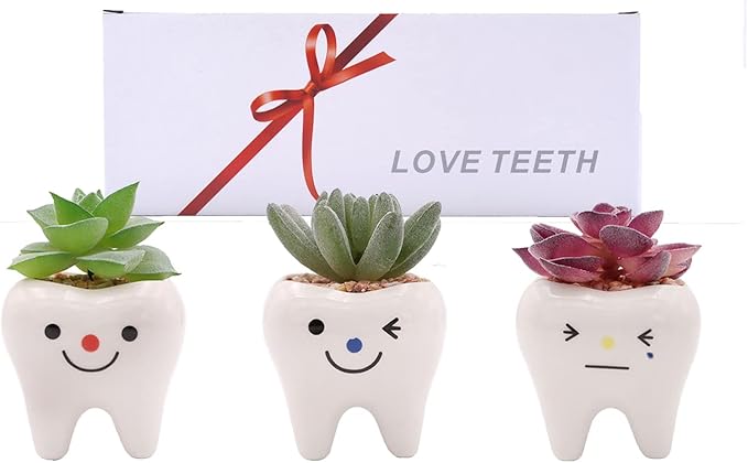 Pack of 3 Mini Shaped Tooth Planter Ceramic Succulent Plant Pots Set for Small Succulent Tooth Gifts for Adults Kids Women Dentist