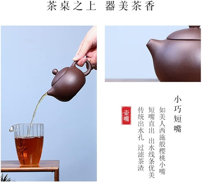 Xishi Teapot 7oz Chinese Zisha Clay Pot Ceramics Purple Sand Mud Kungfu Tea Set (purple 9 hole filter)