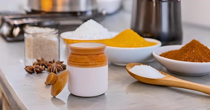 The Great Indian Bazaar Decorative Ceramic Jar With Lid For Kitchen Pantry Countertop Home Dining Table Accessories Condiment Pickle Spice Coffee Tea Caddy Sugar Salt Herbs Food Storage (White)