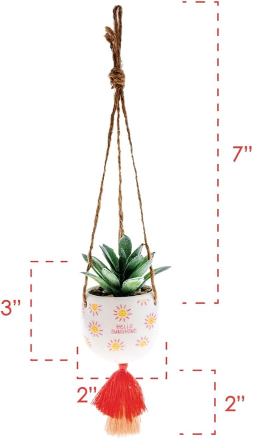 Karma Hanging Succulent Pot Hello Sunshine
