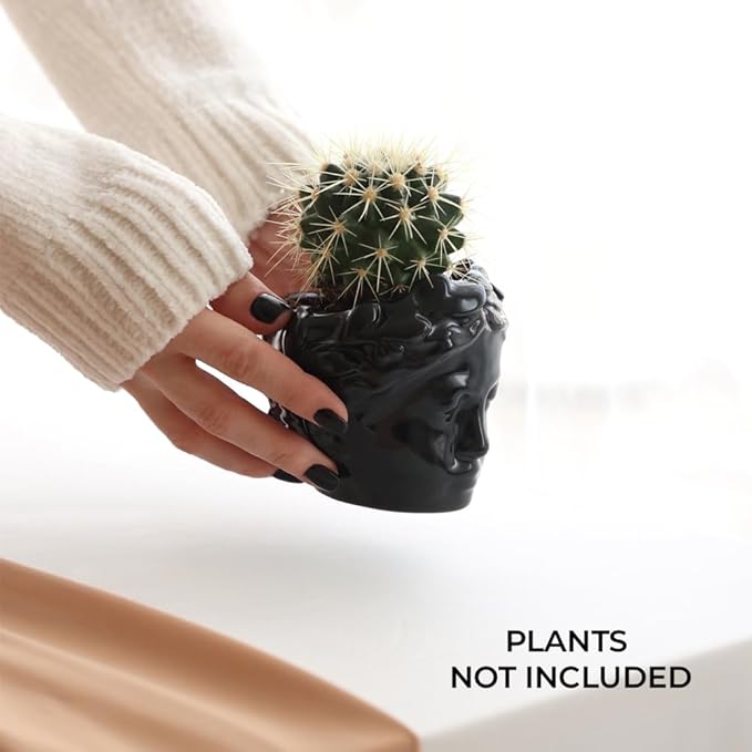 Small Head Planter - Ceramic Face Planter Pots for Indoor Plants, Cute Funny Succulent Pot with Drainage Hole, Unique Gift, 3.9"