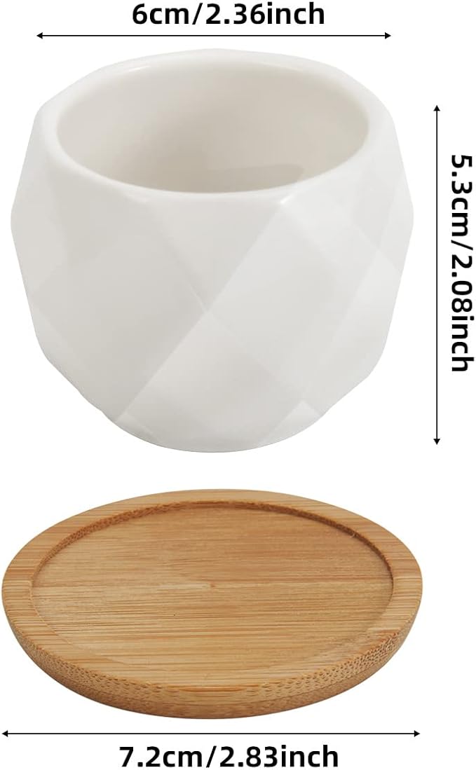 ZOUTOG Succulent Plant Pot 12 Pack, 2.5 inch Square Pattern Ceramic Planters with Bamboo Tray, Small Succulent Pots Indoor, White Office Desk Decor (Seeds＆ Plants Not Included)