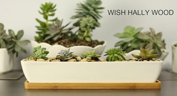 11inch Long Rectangle White Ceramic Succulent Planter Pots/Mini Flower Plant Containers with Bamboo Saucers. Product Size:11x2.23x1.69inch,not Include The Plant. (Long Rectangle)