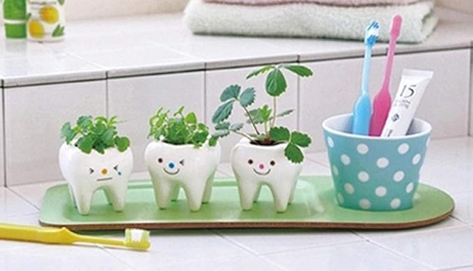 Pack of 3 Mini Shaped Tooth Planter Ceramic Succulent Plant Pots Set for Small Succulent Tooth Gifts for Adults Kids Women Dentist