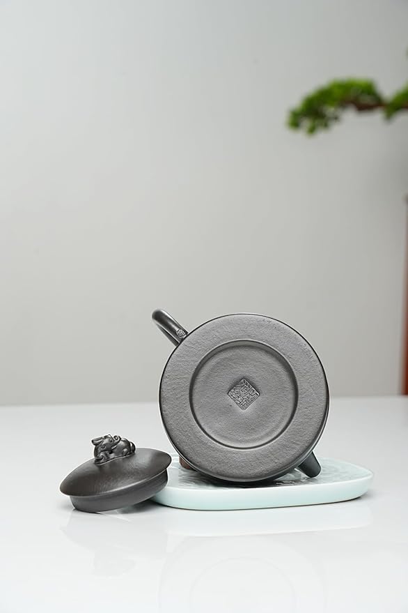 Yixing Clay Teapot 10oz Handmade Zisha Tea Pot Chinese Kungfu Tea Set Kettle (Clay Black 9oz)