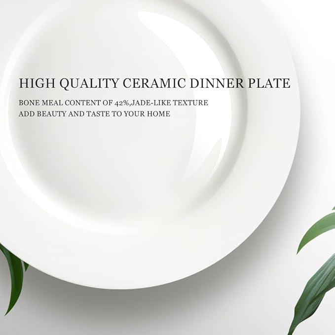 IQCWOOD 6.5 Inch Porcelain Plate Set of 6, White Dessert Plates Ceramic Salad Appetizer Plates for Christmas party, Ceramic Plates for Dinner