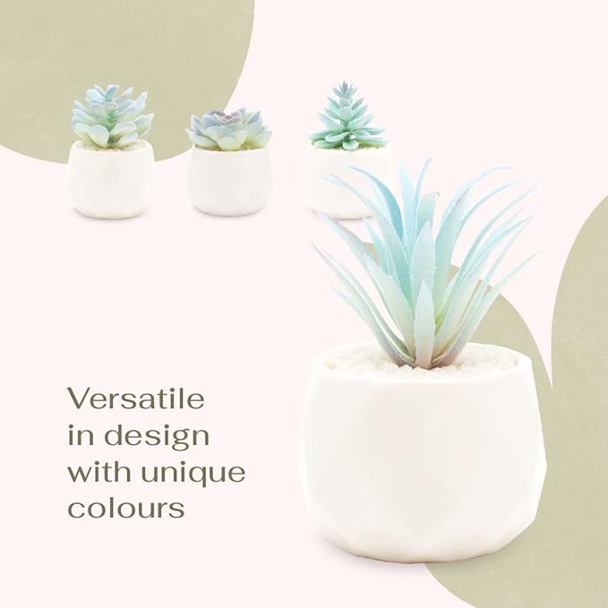 VIVERIE Mini Blue Artificial Succulent in Pots (White Ceramic, 4 Pot Set) Fake Plants for Indoors, Office Decor Blue Gift for Women, Office Home Decor Gifts, Faux Plant for Shelf/Desk/Bathroom Decor