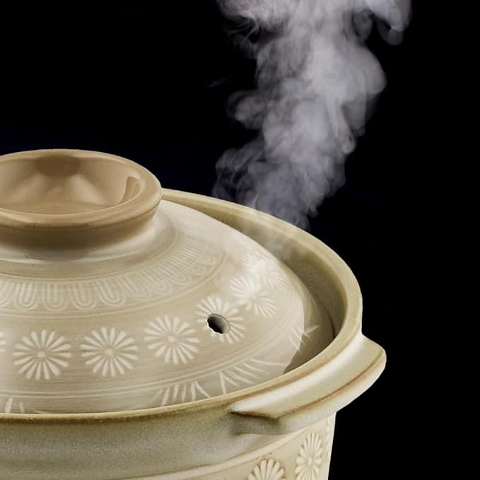 TIKUSAN Donabe Japanese Hot Pot Banko Ware Made in Japan (6 go(30 fl oz.))