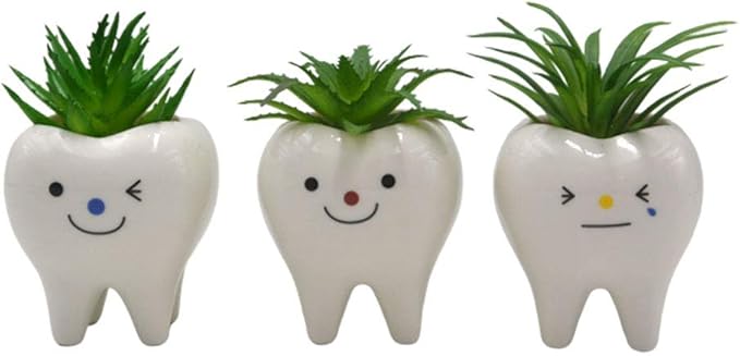 Pack of 3 Mini Shaped Tooth Planter Ceramic Succulent Plant Pots Set for Small Succulent Tooth Gifts for Adults Kids Women Dentist
