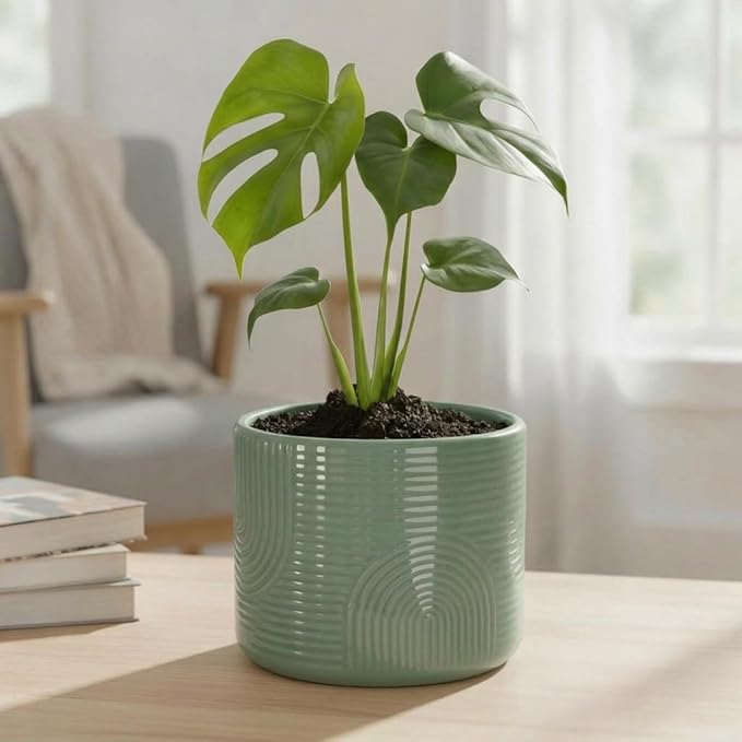 6 Inch Ceramic Plant Pot – Decorative Indoor Planter (No Drainage Hole) for Succulents, Herbs & Houseplants – Modern Tabletop Desk Planter – Sage Green