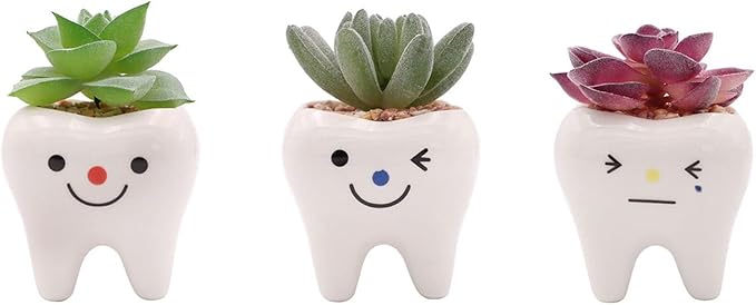 Pack of 3 Mini Shaped Tooth Planter Ceramic Succulent Plant Pots Set for Small Succulent Tooth Gifts for Adults Kids Women Dentist