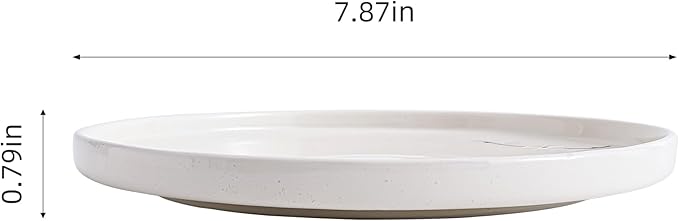 Ceramic Appetizer & Dessert Plates, 8-Inch Round Serving Plates (4-Pack, White Flowers)