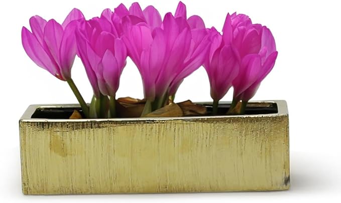 WGVI Long Rectangle Ceramic Planter Vase in Gold Etched 14" x 4" x 4"H, Rectangular Box Block Terrarium Pot, Flower Arrangement, Tabletop Centerpiece, Home Décor, Storage Container, 1 Pc.