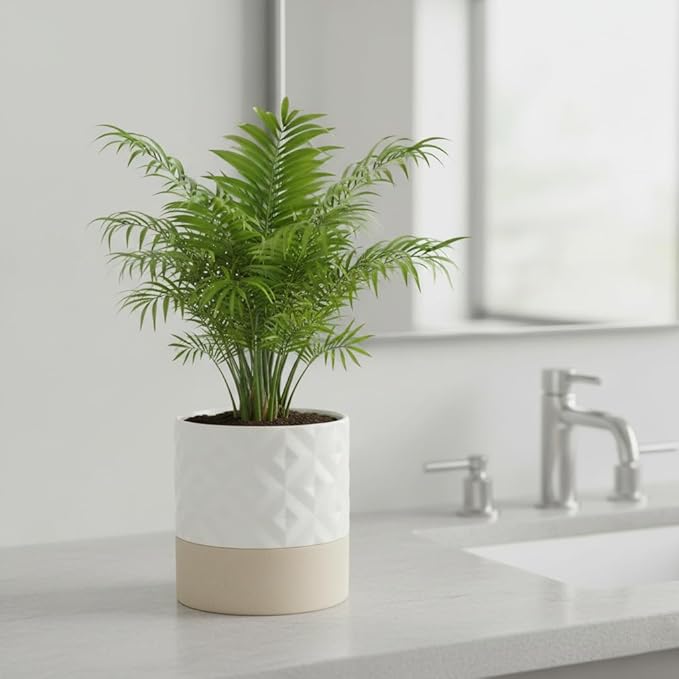 Nihow Self Watering Plant Pot for Indoor Plants: 6 Inch Ceramic Planter with Drainage Hole & Water Storage Plus - Cylinder Flower Pot with Wick for Herbs - Matte White & Brown Star