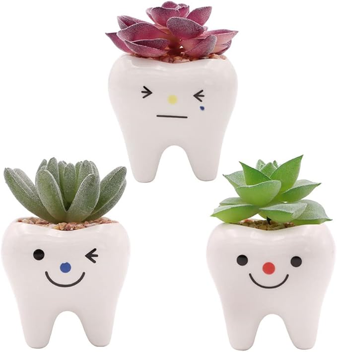 Pack of 3 Mini Shaped Tooth Planter Ceramic Succulent Plant Pots Set for Small Succulent Tooth Gifts for Adults Kids Women Dentist