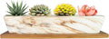 ARTKETTY Succulent Pots, 9.8 Inch Ceramic Succulent Planters with Drainage Small Bonsai Pot with Bamboo Tray, Mini Cactus Flower Planter Pot Shallow Rectangular Window Planters for Indoor Plants