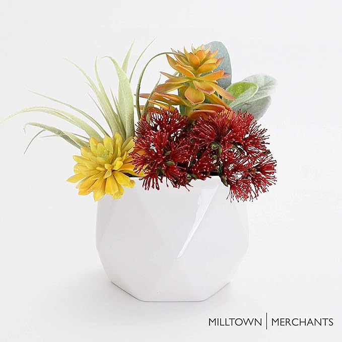 Milltown Merchants Succulent Wall Planters - Wall Vases - White Ceramic Wall Mounted Planters - Succulent Plant Pots - Hanging Vases for Living Wall (2 Pack/Geometric/White)