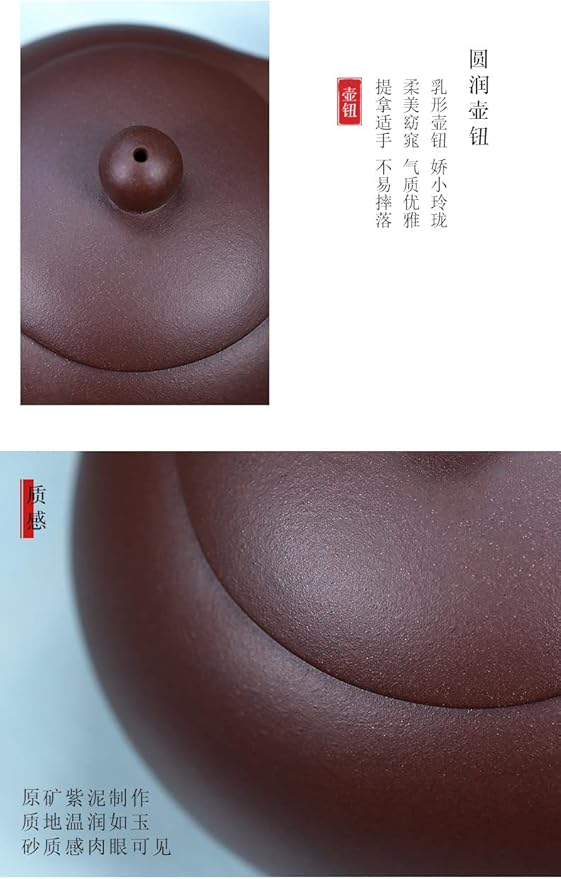 Xishi Teapot 7oz Chinese Zisha Clay Pot Ceramics Purple Sand Mud Kungfu Tea Set (purple 9 hole filter)