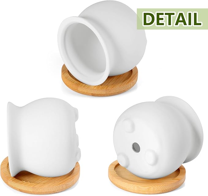 Remerry 18 Pcs 2.5 Inch Mini Succulent Pots with Bamboo Tray White Ceramic Pots Color Your Own DIY Small Planters Containers for Flower Cactus with Drainage Hole for Plant Lover
