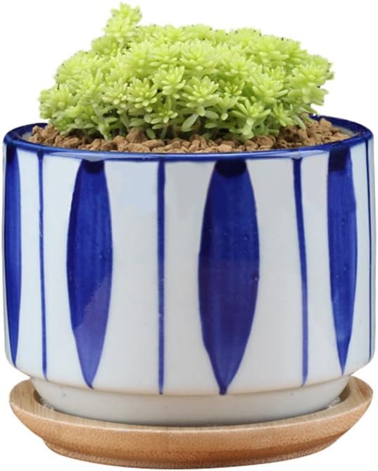 GeLive 3 Inch Ceramic Succulent Planter, Cactus Plant Pot, Flower Container with Bamboo Drip Tray, Indoor Outdoor, Set of 2 (Wave and Blue Flower)
