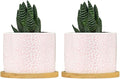 Pink Leopard Print Ceramic Planter African Animal Stripe Planters for Indoor Plants with Drainage Holes and Saucers Pot for Home Desktop Office Windowsill