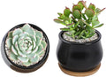 2 Pack Succulent Pots, 2.5 Inch Mini Ceramic Pots for Flower or Cactus Plants with Drainage Hole,Plants Not Included (Black)