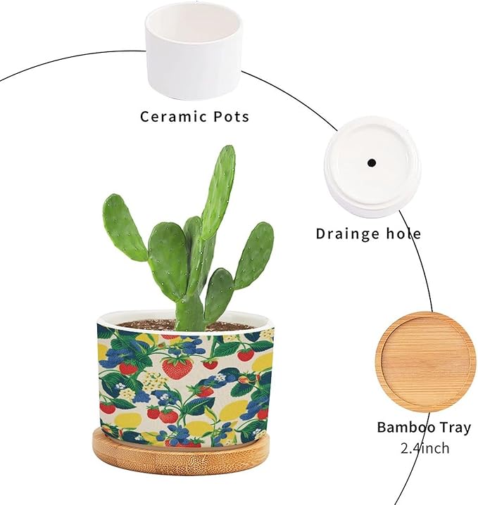 Summer Cherry Lemon Citrus Garden Planter Ceramic Strawberry Fruit Season Round Flower Pots with Drainage Holes and Bamboo Tray Pot for Outdoor Garden Home Plant