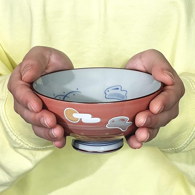 Traditional Style Japanese Ceramics Rice Bowl Chawan Pottery, Dishwasher Microwave Safe Made in Japan (Totoya Usagi, Small (nakahira))
