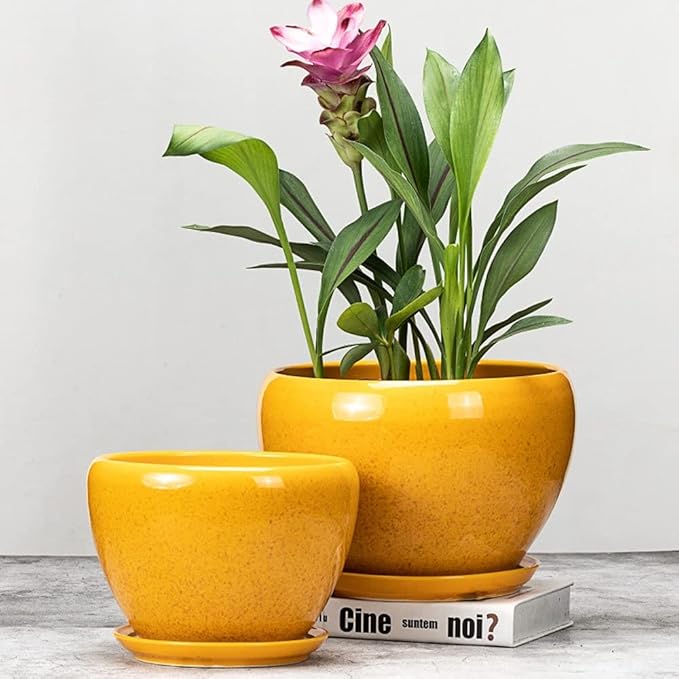 Simple Flower Pot Chinese Style Yellow Flower Glaze Ceramic Pot Indoor Large Succulent Plant Pot with Tray Outdoor Balcony Breathable Planter Exquisite Orchid Plant Pot (Size : M)