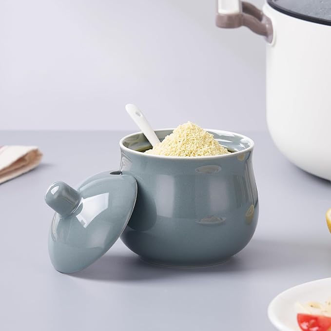 Ceramic Sugar Bowl with Lid and Spoon, Gray Porcelain Sugar Salt Pepper Storage Jar, 12 Ounces