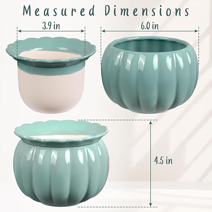African Violet Pots, Self-Watering Ceramic Planter for Indoor Plants – 6 Inch Pot for Succulents, Herbs & Small Houseplants, Decorative Self-Watering Pot for Home & Office, Blue