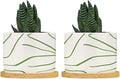 African Zebra Stripe Print Ceramic Planter Boho Geometric Green and Light Gray Planters for Indoor Plants with Drainage Holes and Saucers Pot for Indoor Outdoor Garden